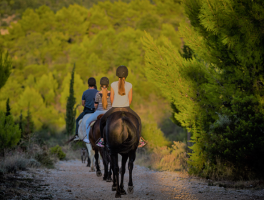 Home-Box_Signature-Experiences_Horseback-riding.png